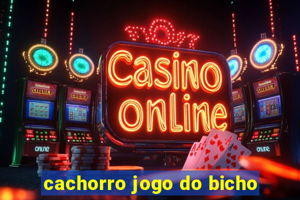 cachorro jogo do bicho